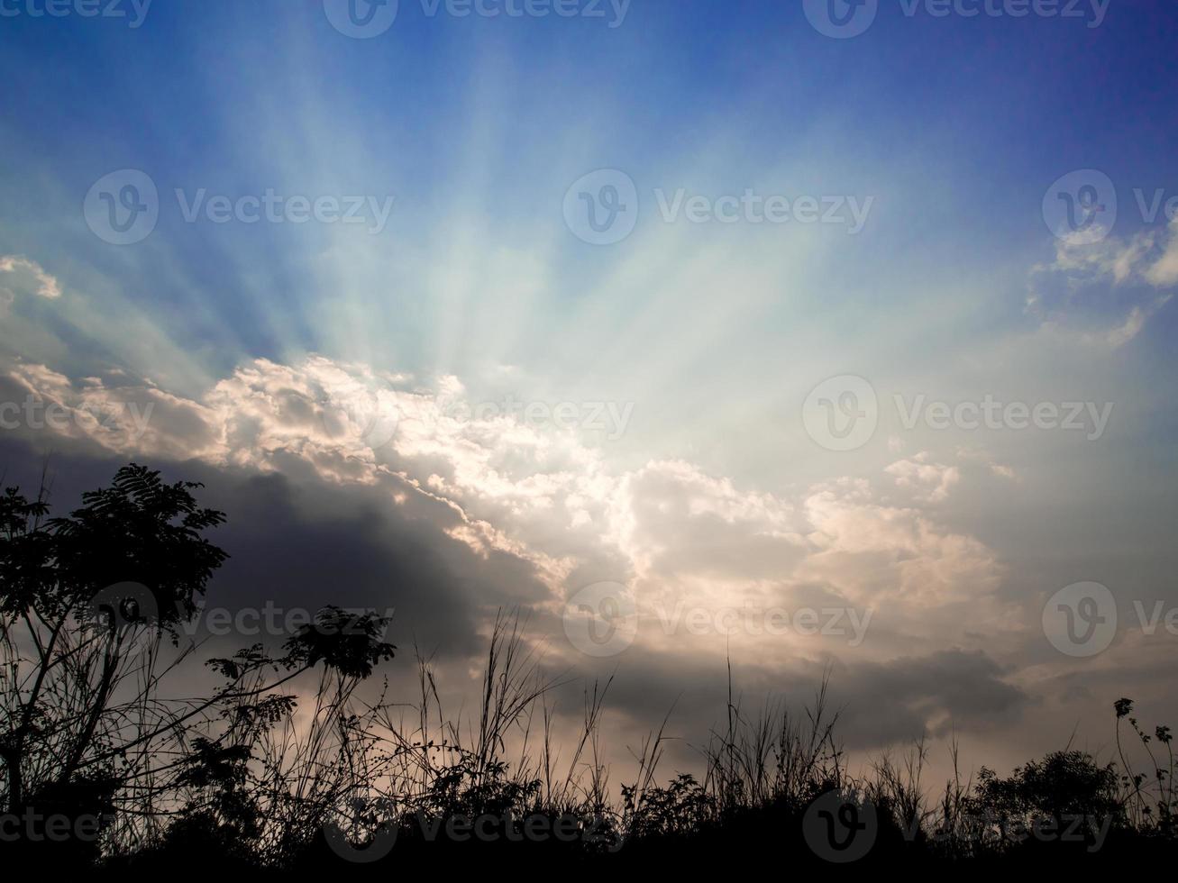 árboles de silueta y haz de luz solar detrás de nubes oscuras en el campo foto