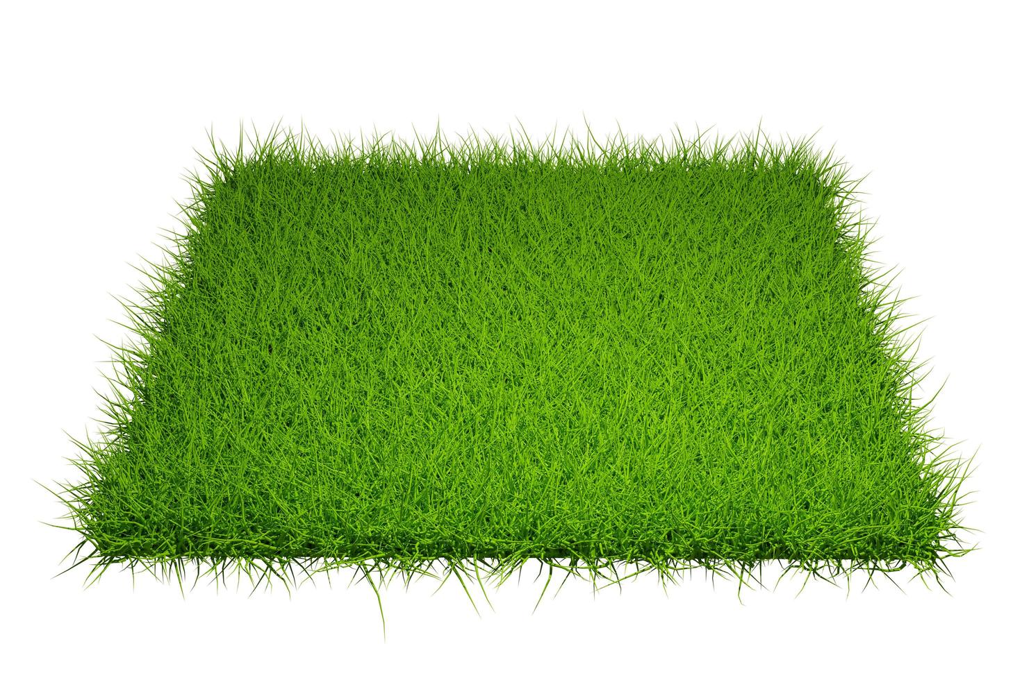 grass field isolated on white background with clipping path photo