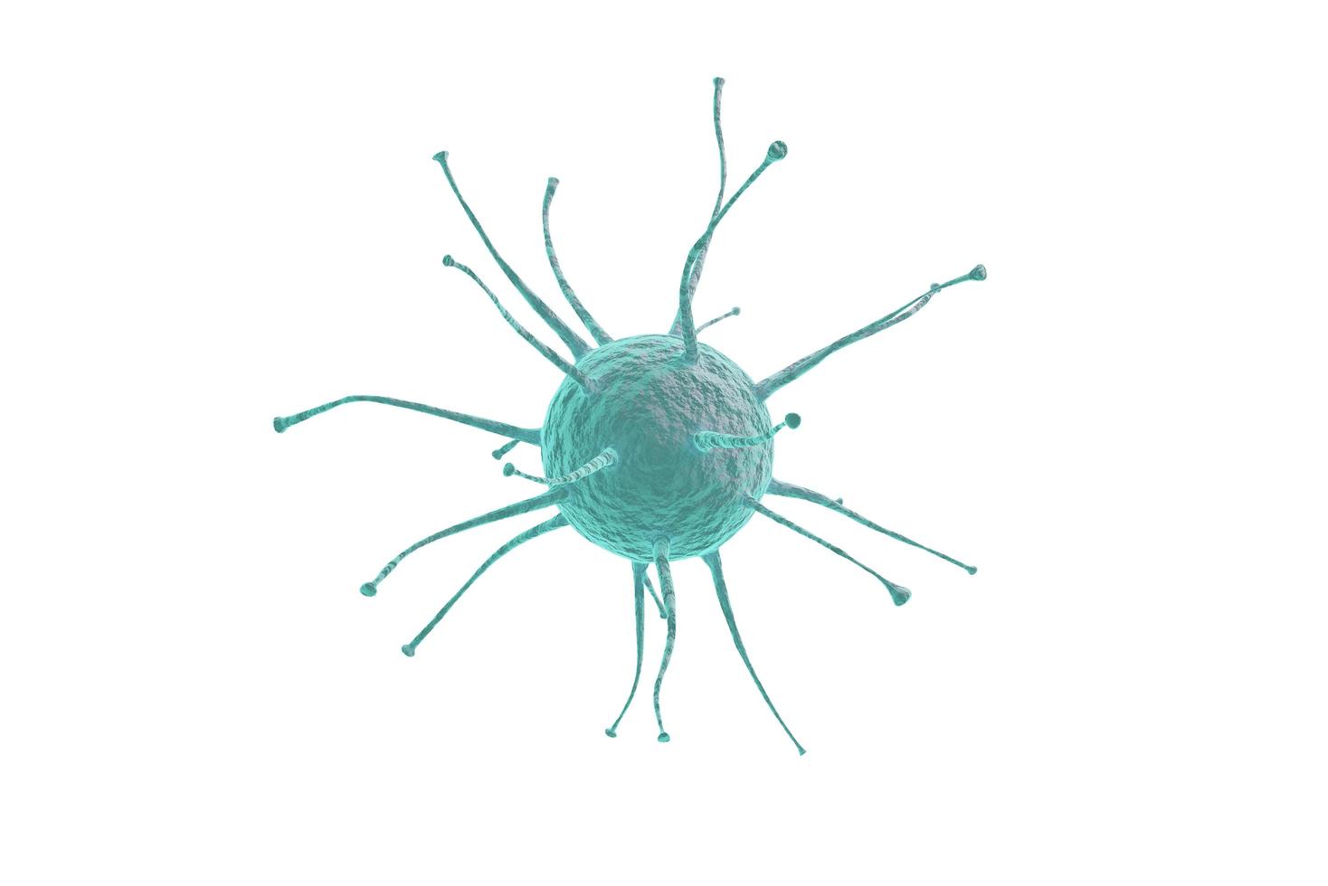 blue 3d covid19 virus photo