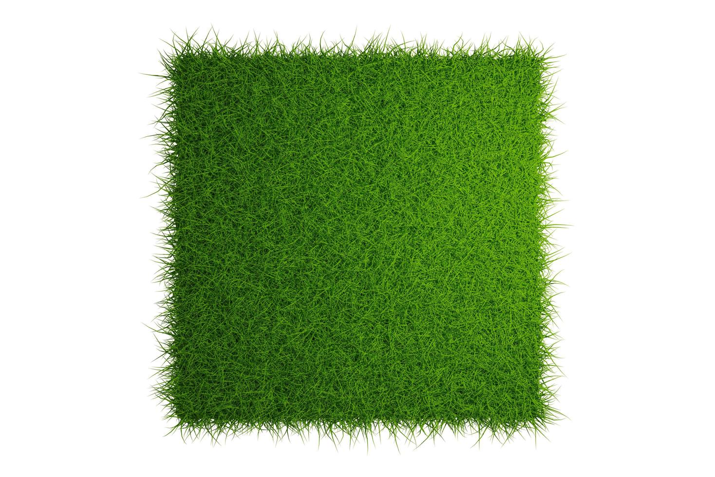top view grass field isolated on white background with clipping path photo