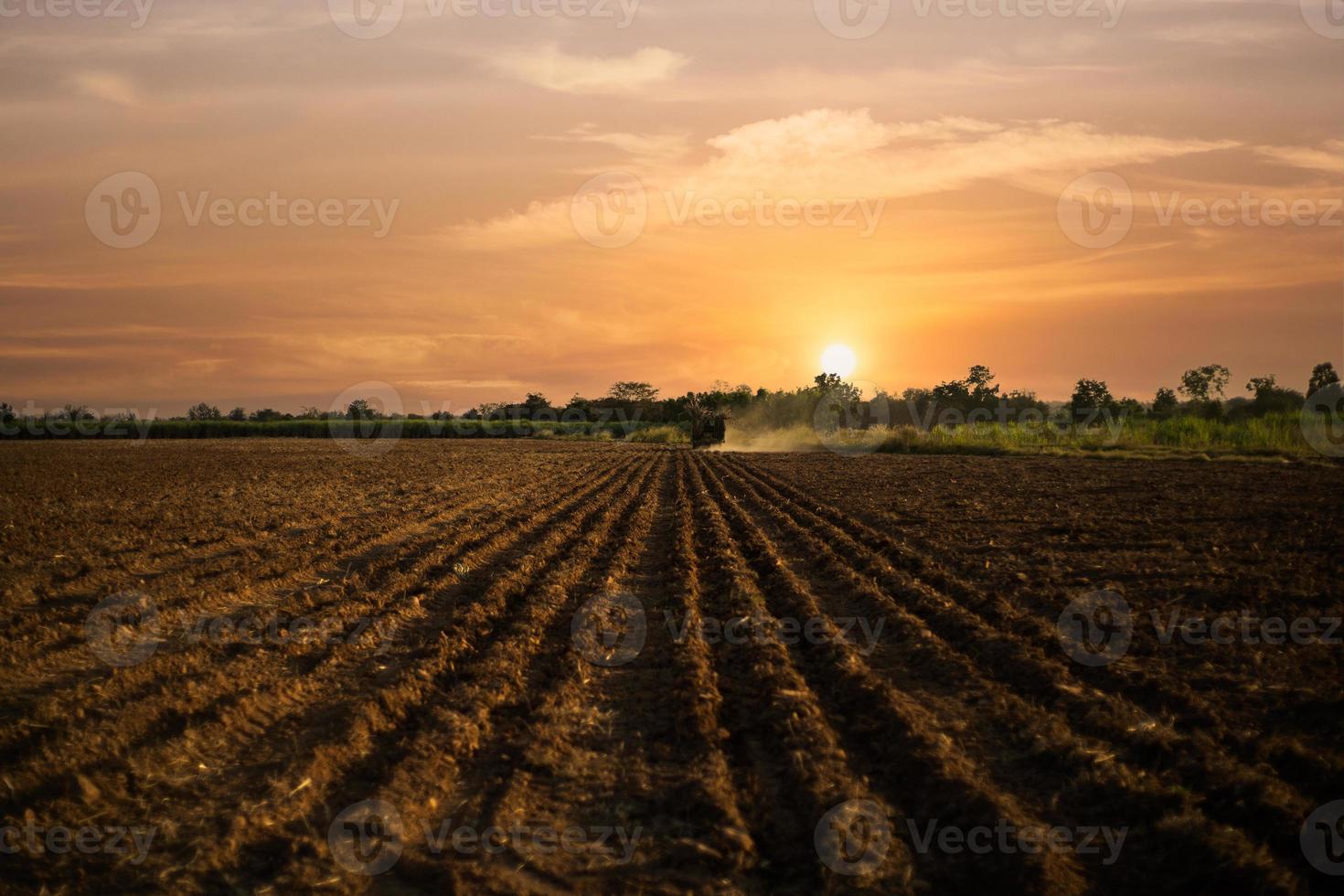 planting sugar cane machine working photo
