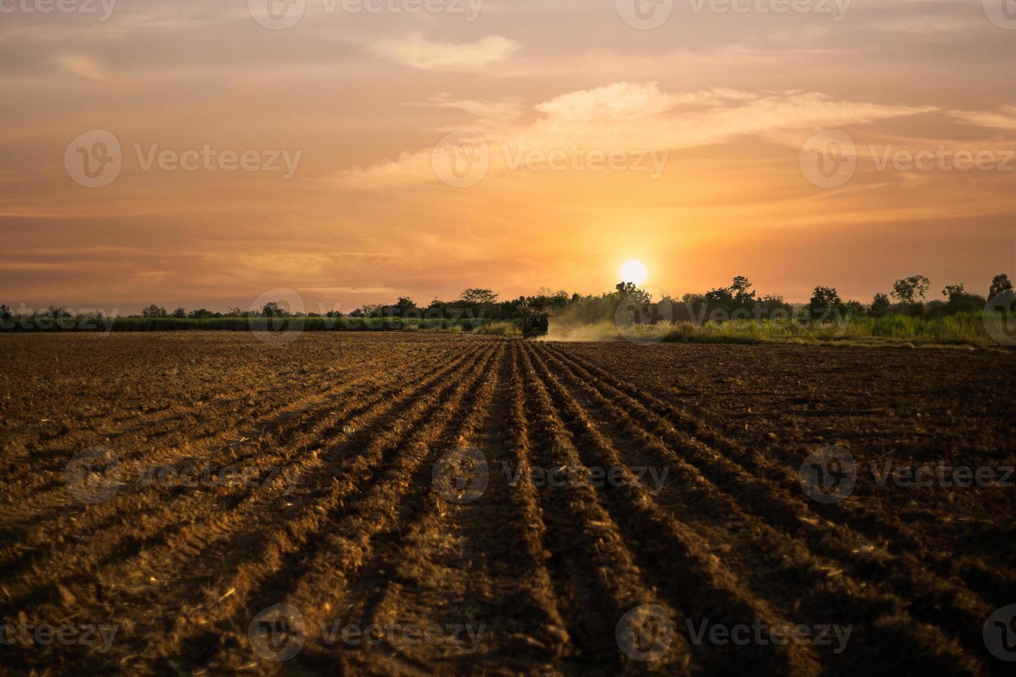 plantación de máquina de caña de azúcar trabajando foto