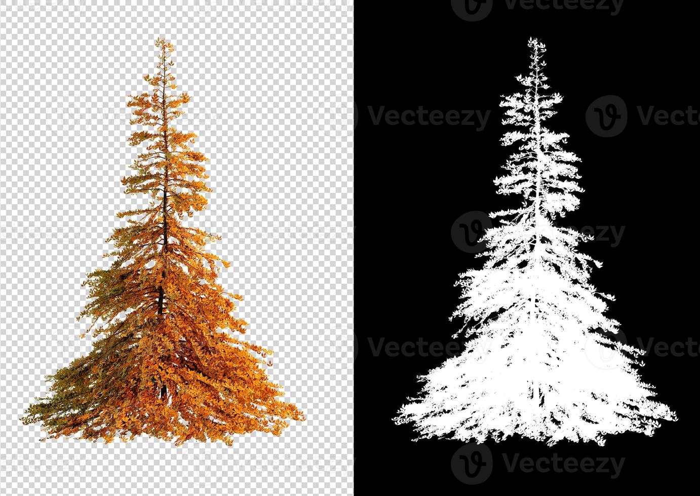 Autumn season tree on transparent background with clippings path photo