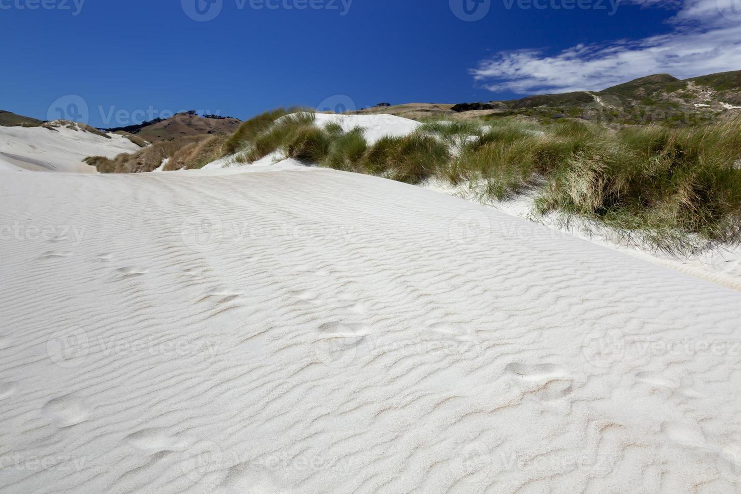 A spectacular sand dune at Sandfly Bay photo