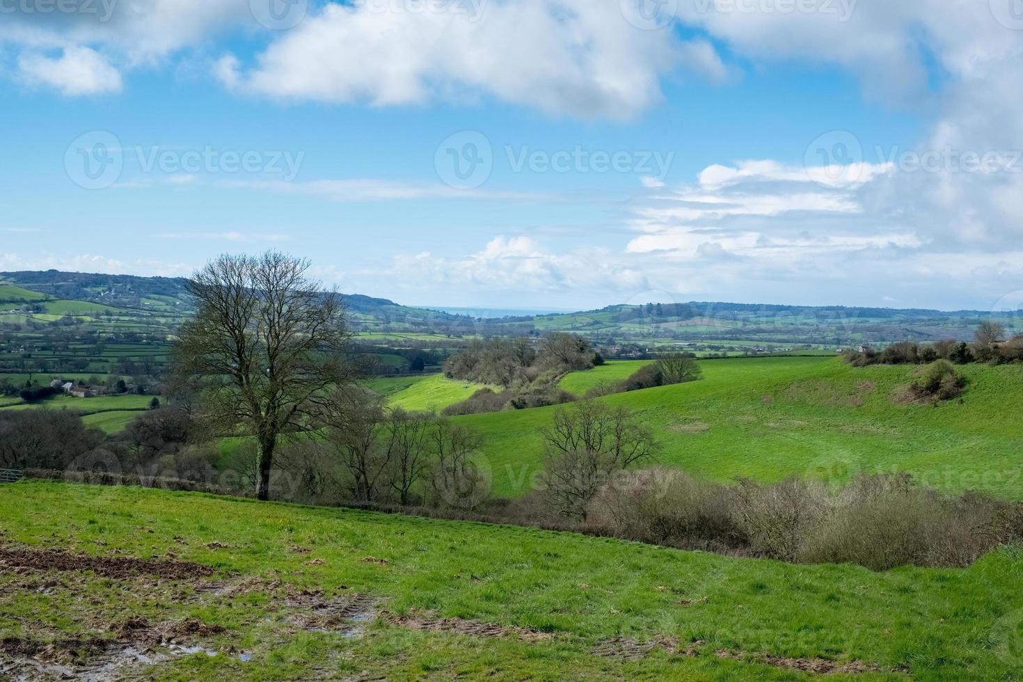 Scenic View of the Undulating Countryside of Somerset photo