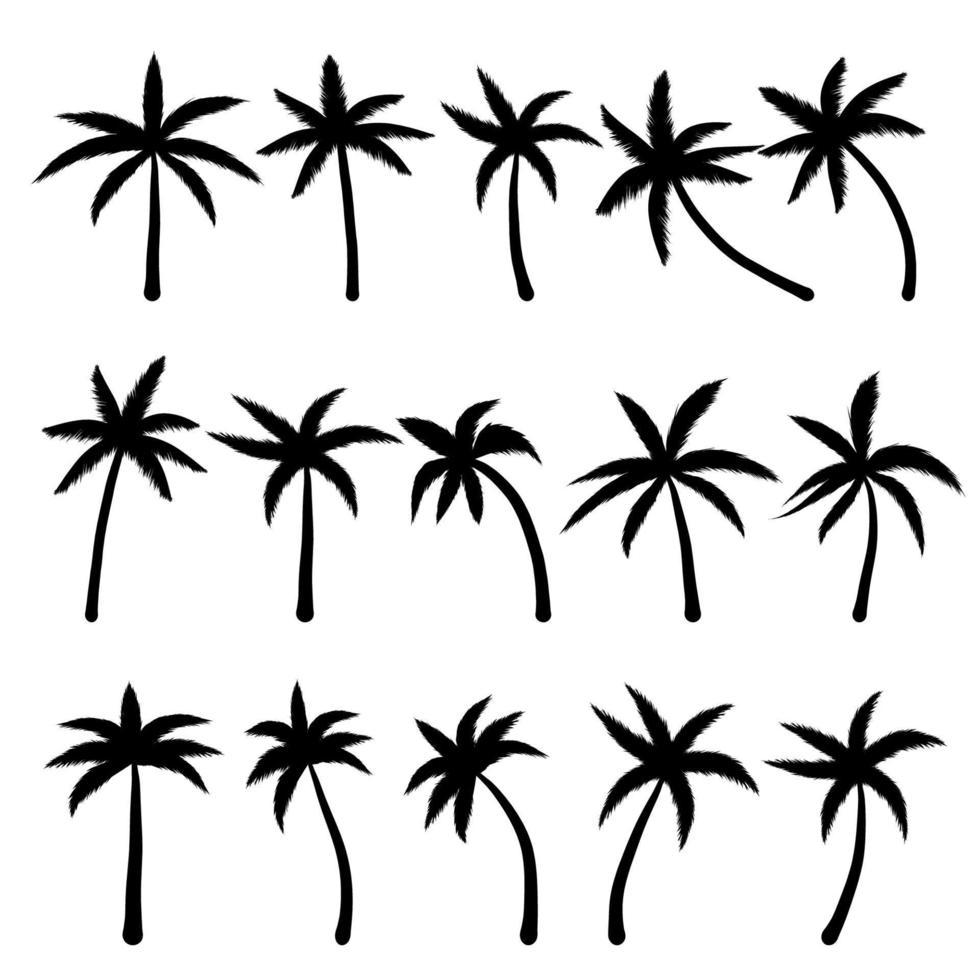 conjunto de silueta palmera de coco aislado sobre fondo blanco. ilustración vectorial vector