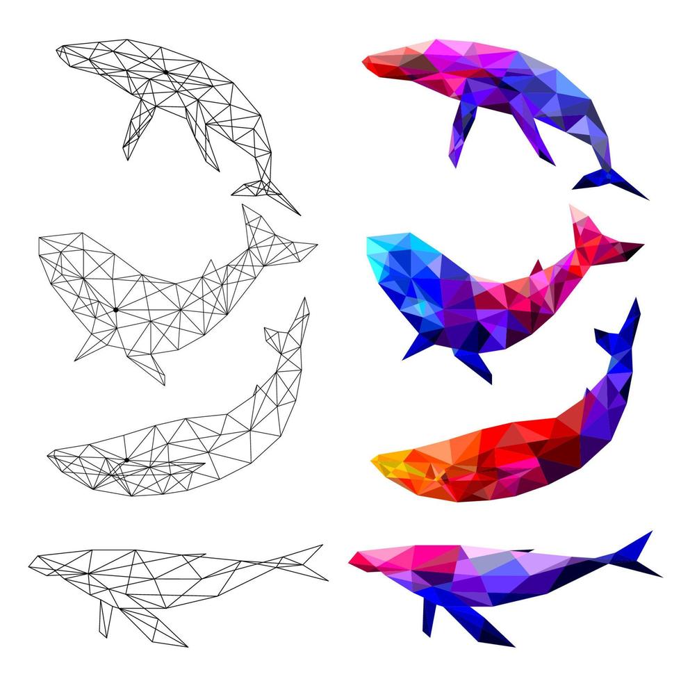 Set of Whale polygon geometric. Vector illustration.