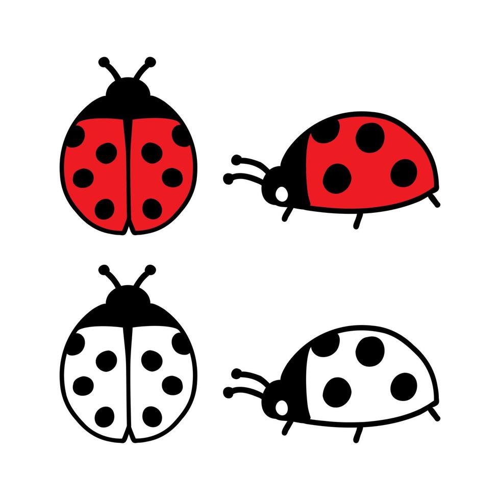 Ladybug hand drawn doodle set. Isolated vector illustration for coloring books, pages