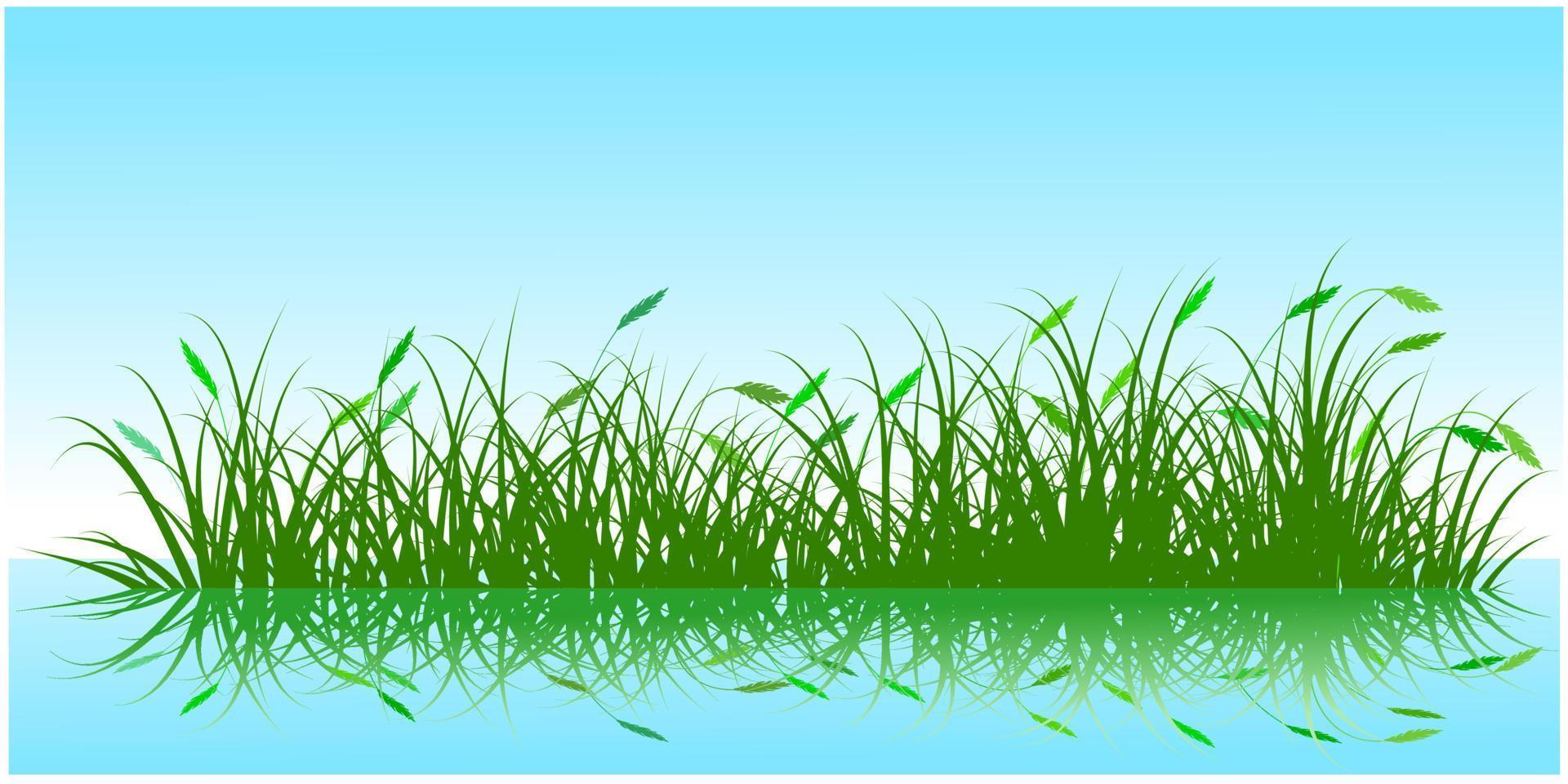 sky and green reeds silhouette reflection on water vector