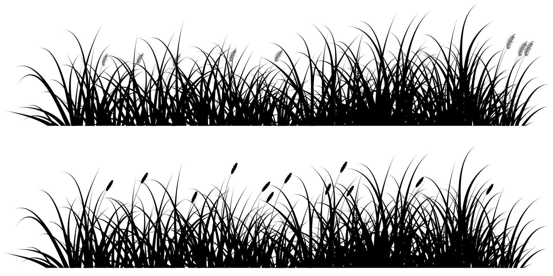 vector black reeds grass silhouette for background or banner