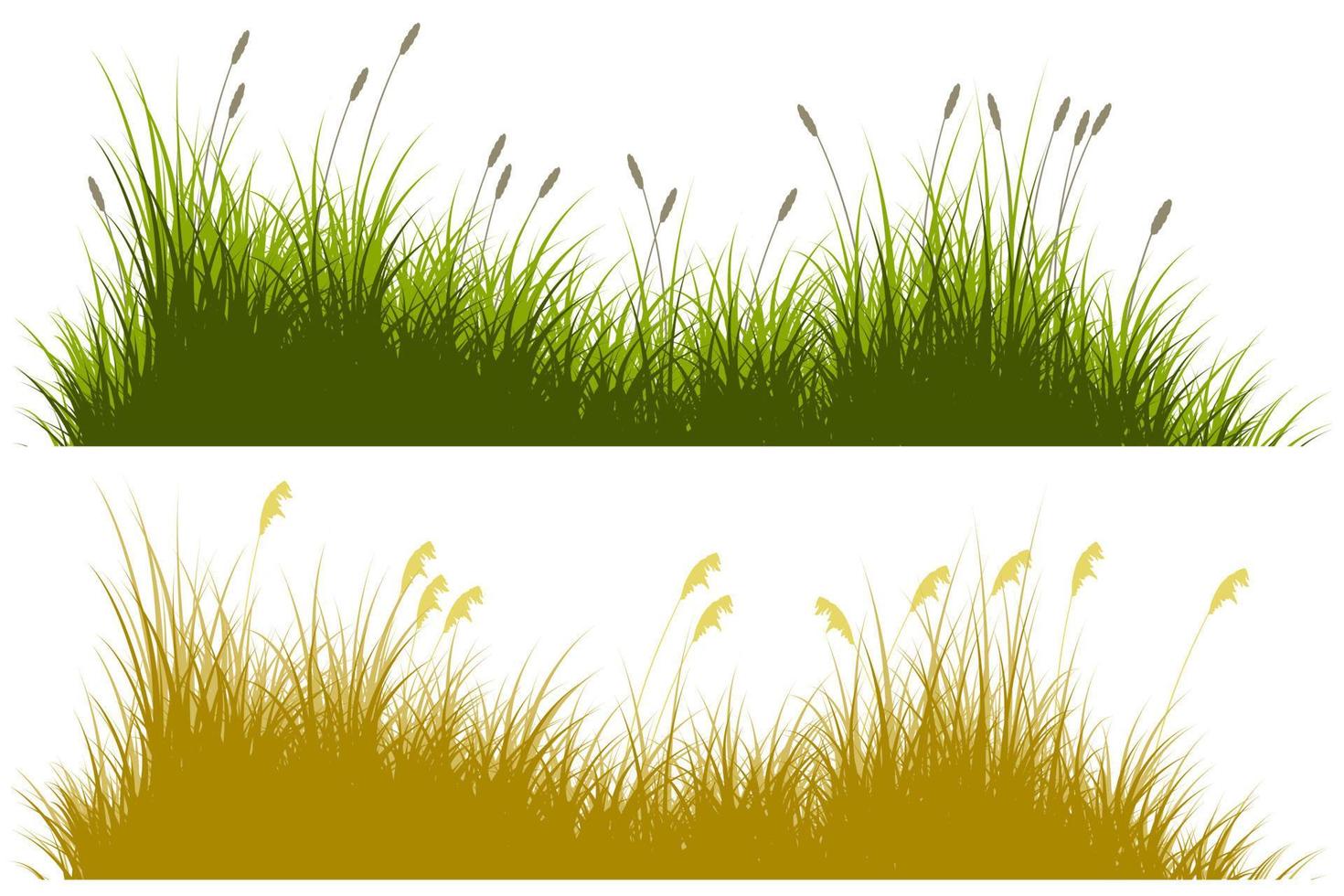 vector brown and green reeds grass silhouette set isolated