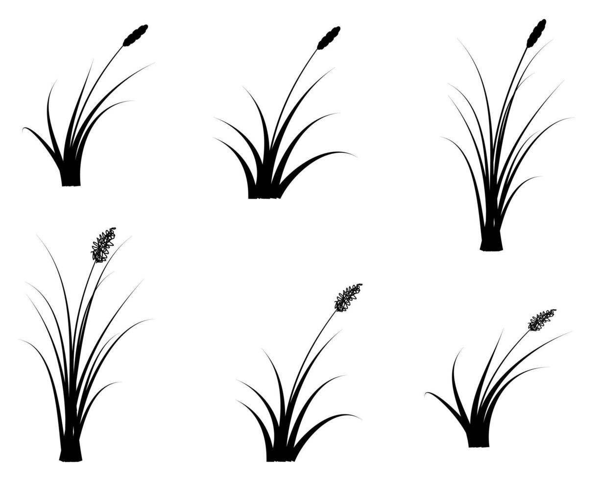 black reeds grass silhouette set. group cattail isolated on white background free vector