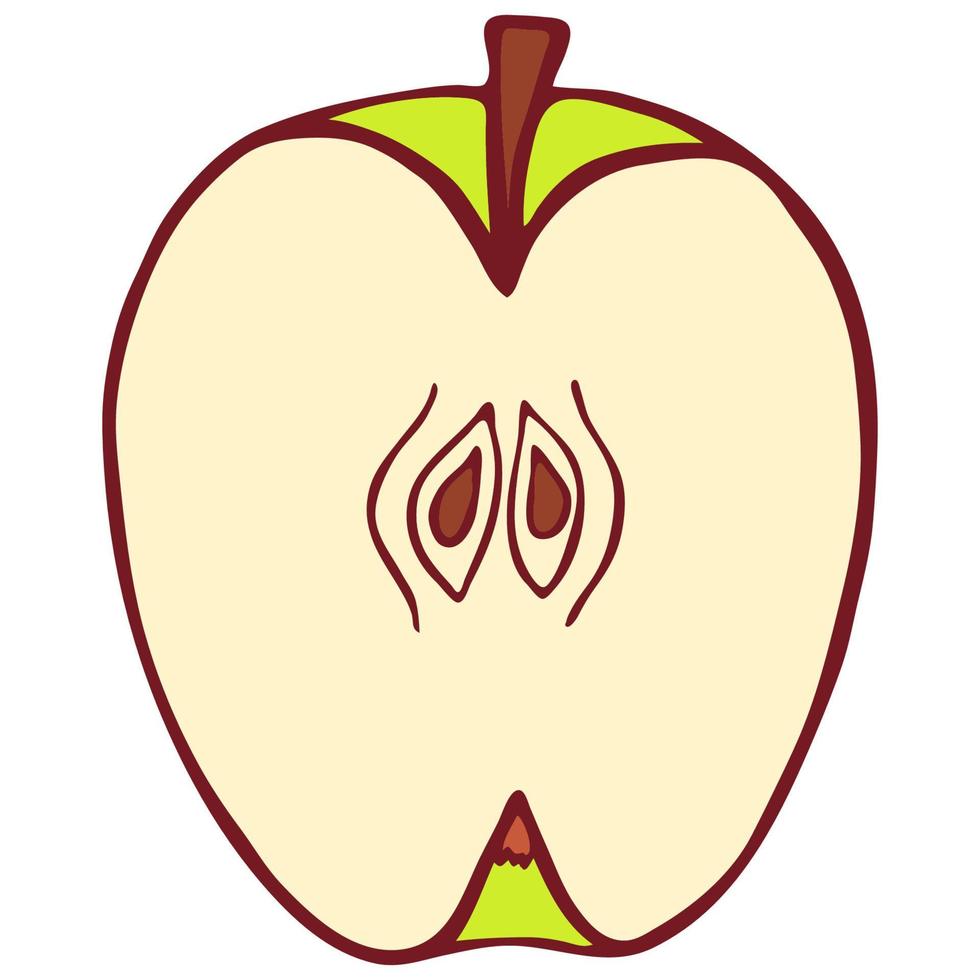 manzana aislada vintage, gran diseño para cualquier propósito. arte vectorial gráfico. vector