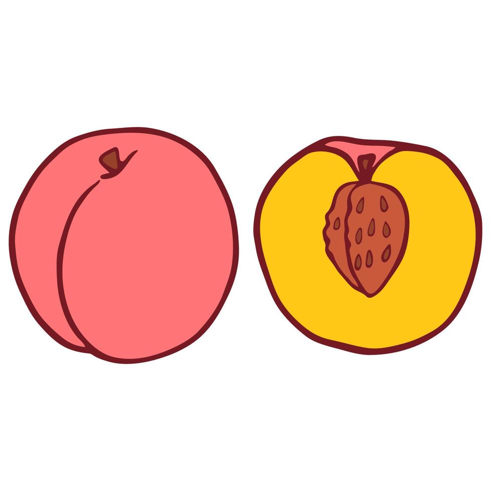 Cartoon style, flat isolated peach. Hand drawn doodle vector illustration.