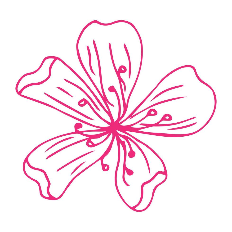 línea de arte floral. flores de sakura o manzana en vector aislado sobre fondo blanco. flores de primavera dibujadas en línea blanca y negra. icono o símbolo de la primavera y las flores. contorno del doodle. bosquejo.