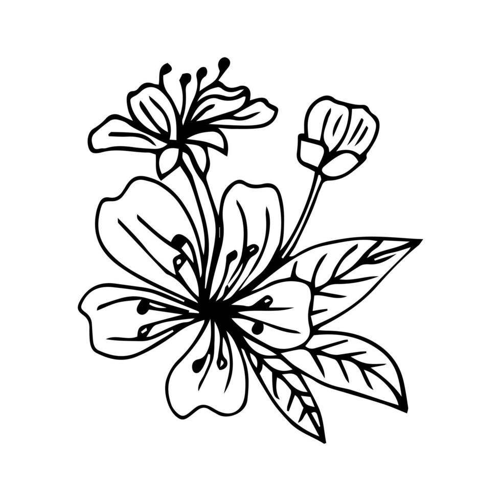 lindo conjunto de ramas de sakura aislado dibujado a mano. ilustración de vector floral en contorno negro y plano blanco aislado sobre fondo blanco.