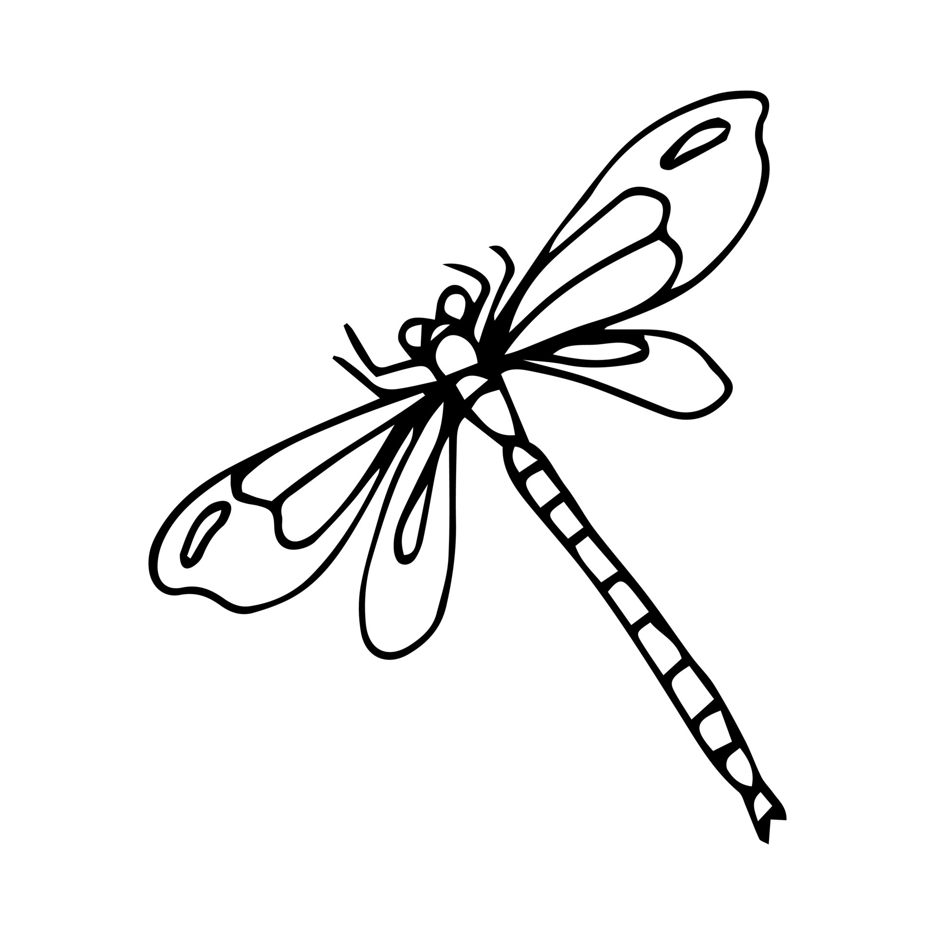 Four-spot skimmer dragonfly. Alaska State symbol. Vector outline icon ...