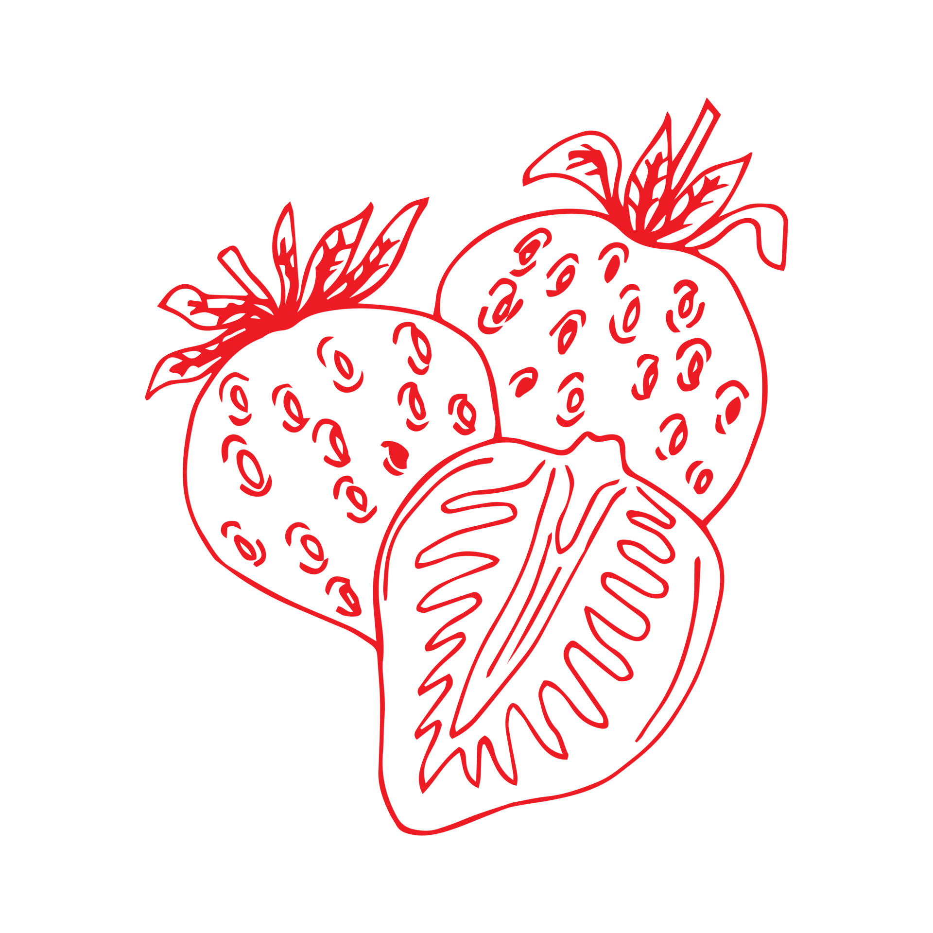 Strawberry freehand drawings, delicious ripe berries, vector image ...