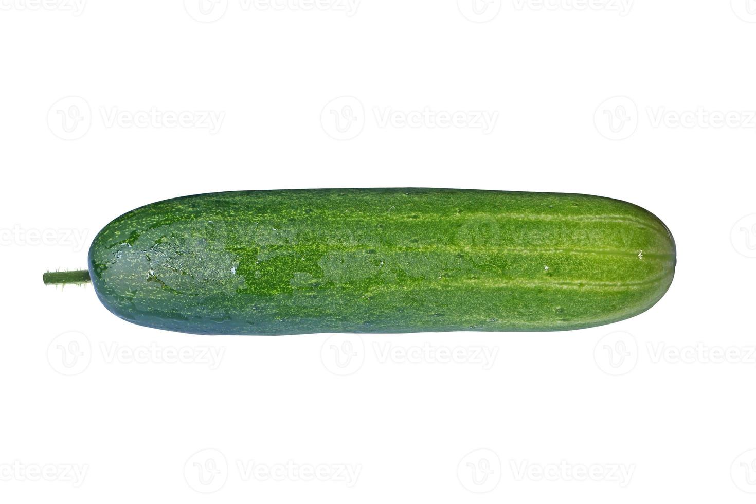 Fresh Cucumber isolated on white background. photo