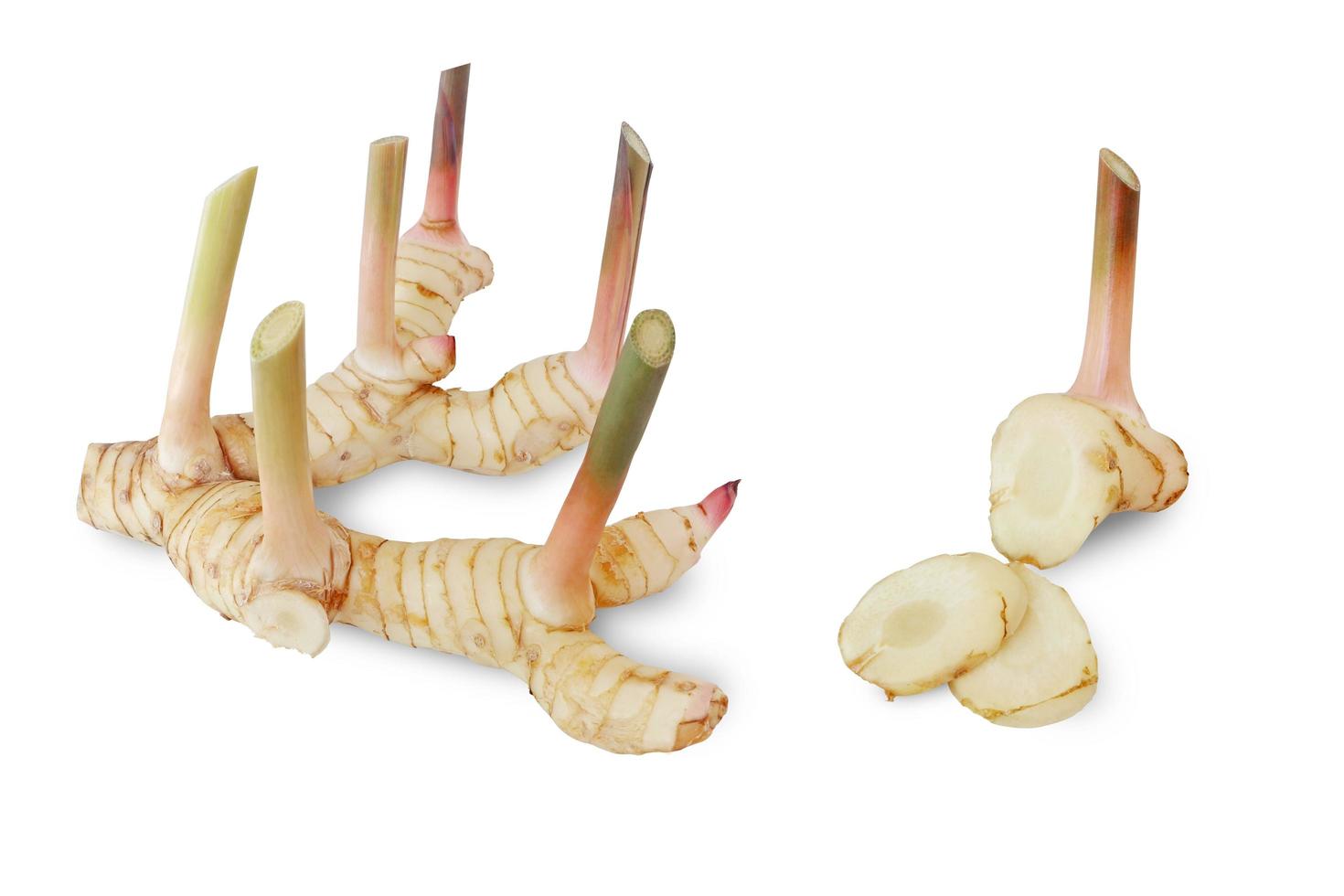 Galangal with slice isolated on with background with clipping path. photo