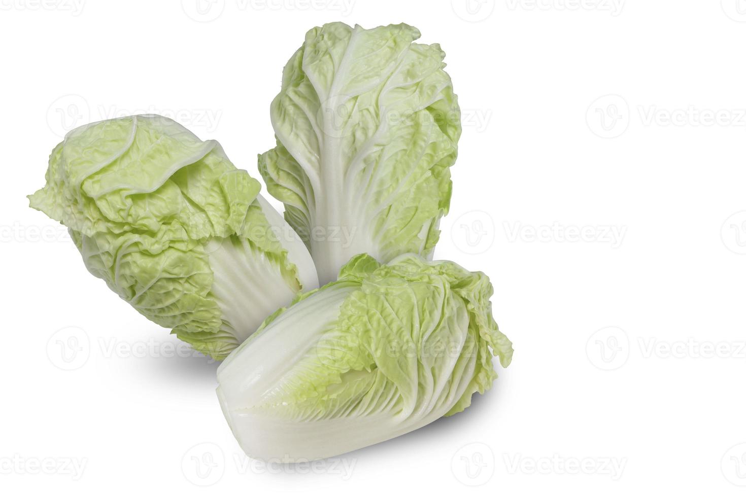 Fresh Chinese cabbage isolated on with background with clipping path. photo