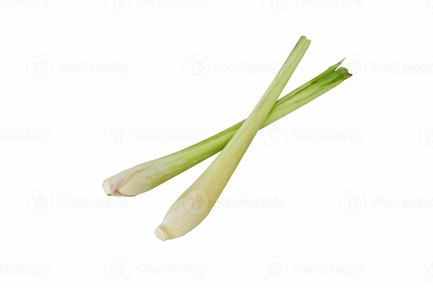 Fresh lemon grass herb isolated on white background with clipping path. photo