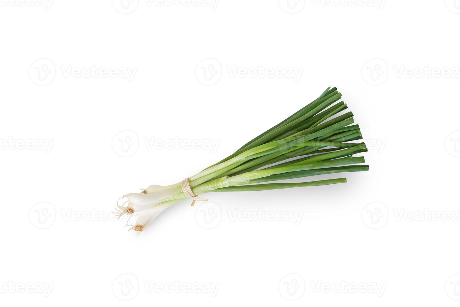 Bundle of spring onions isolated on white background with clipping path. photo