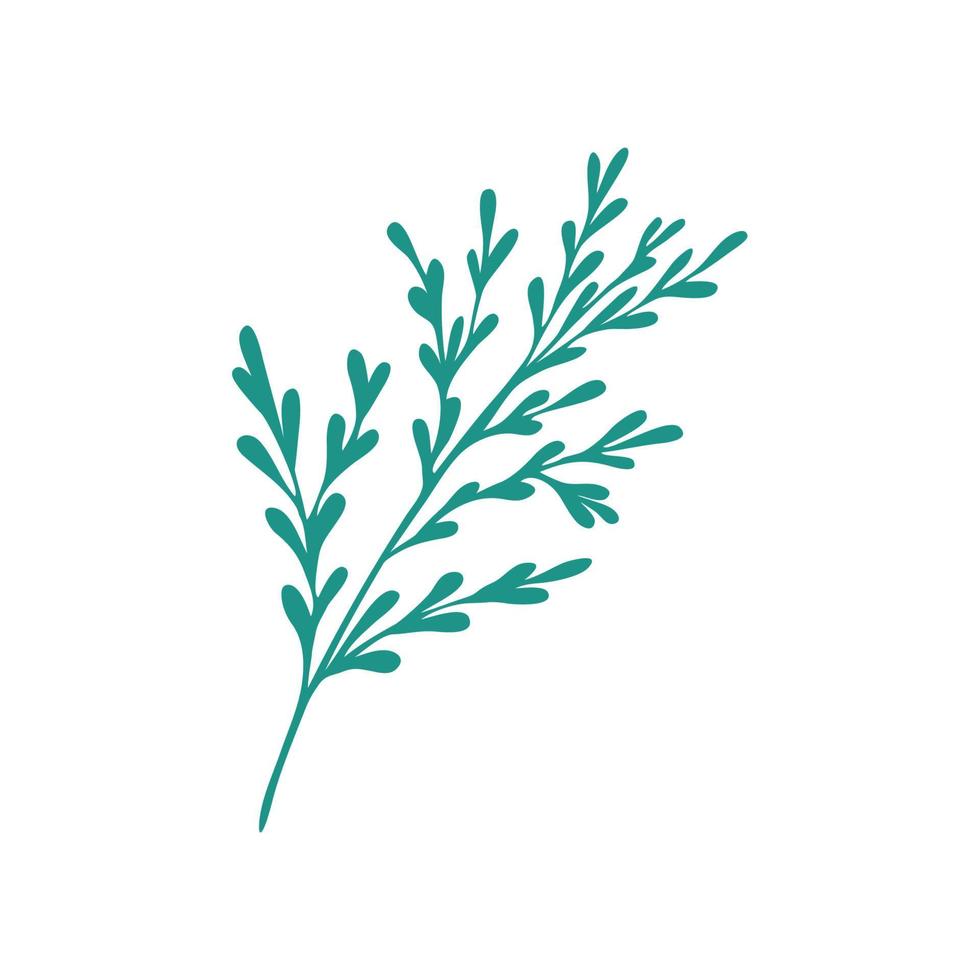 Graceful green twig. Contour leaves. Vector isolated element. Garden plant.
