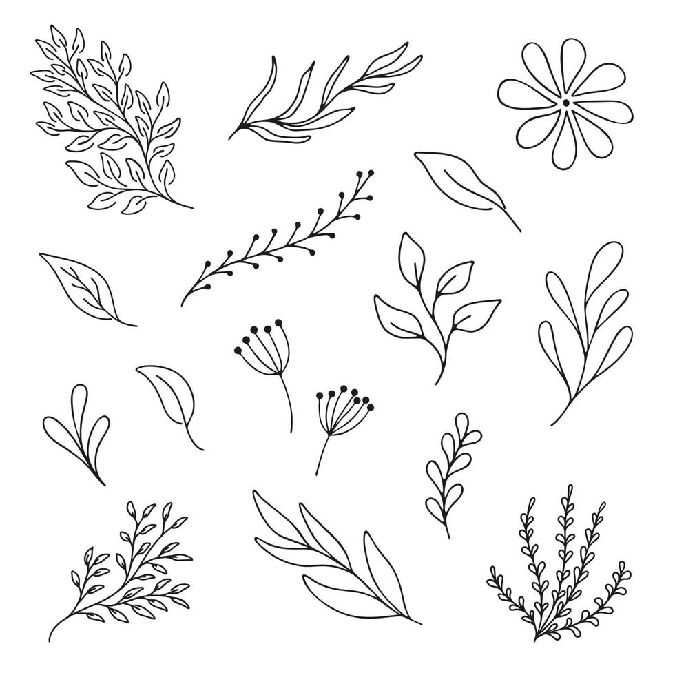 Set woodland leaves illustration. Hand draw vector collection of cute foliage. Line art.
