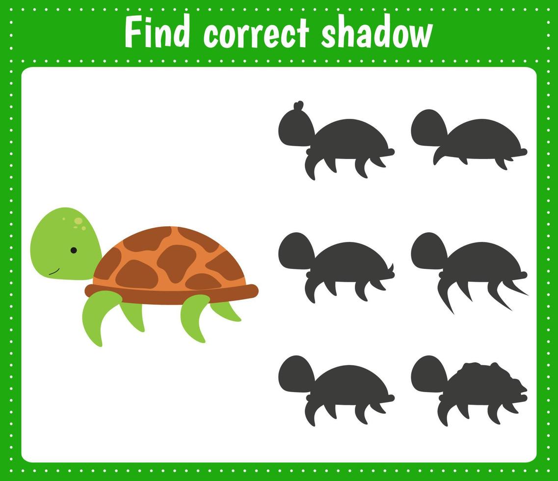 encontrar la tortuga sombra correcta vector