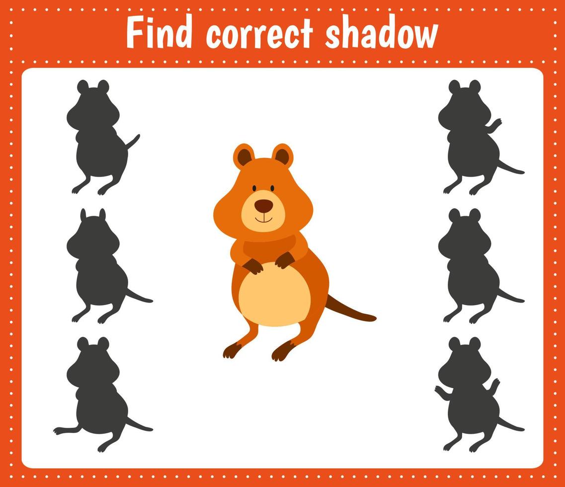 Find the correct shaow quokka vector