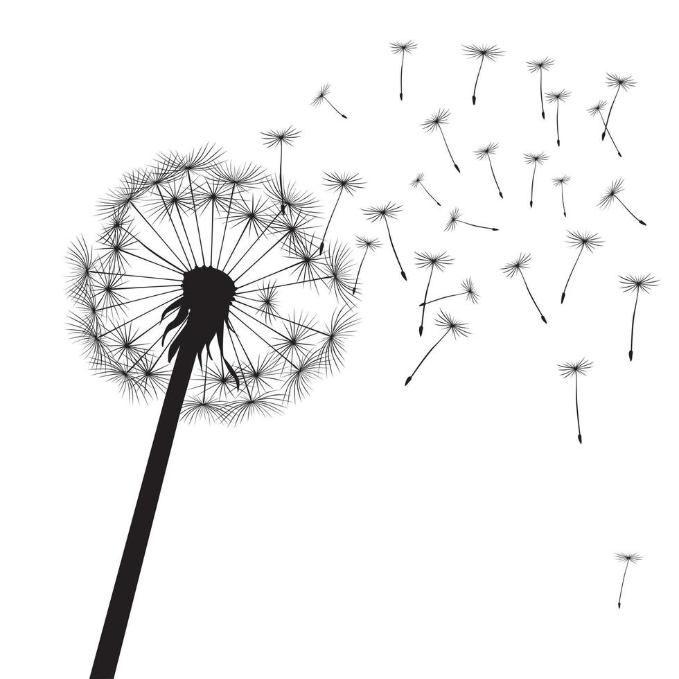 Black dandelions and graphic element. Vector Illustration.