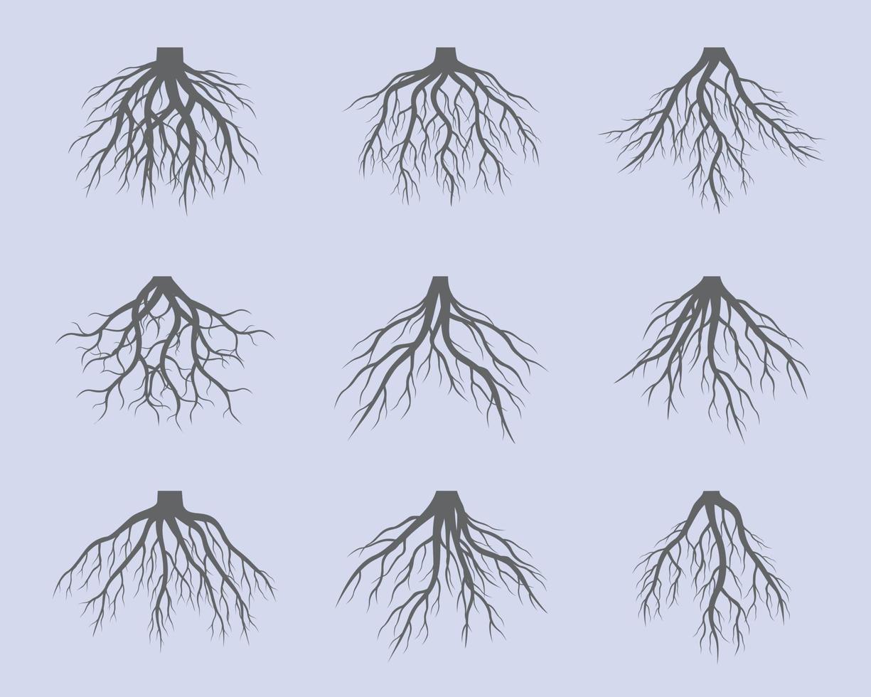 Set of grey Tree Roots. Vector outline Illustration and nature image.