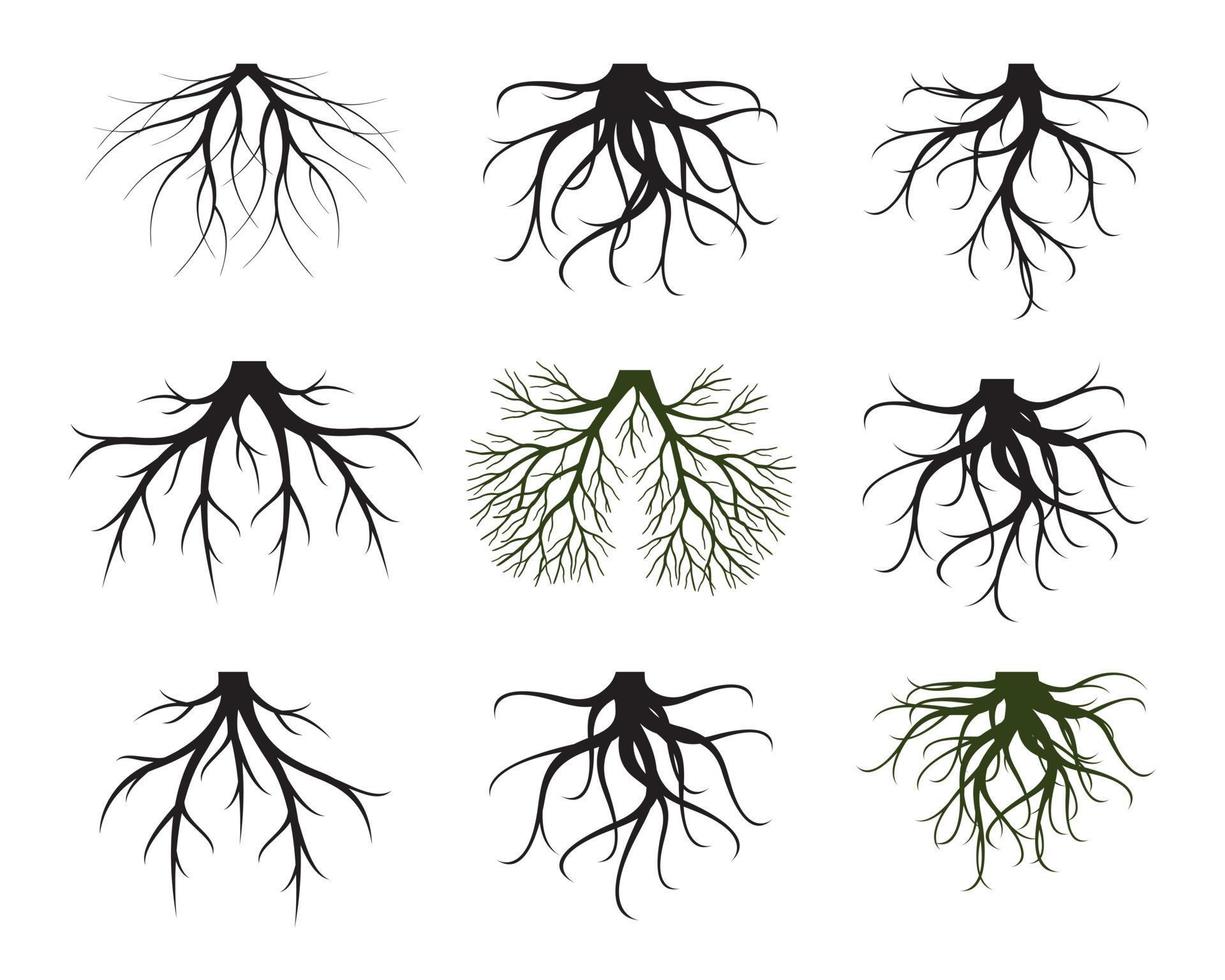 Set of black Tree Roots. Vector outline Illustration and nature image.