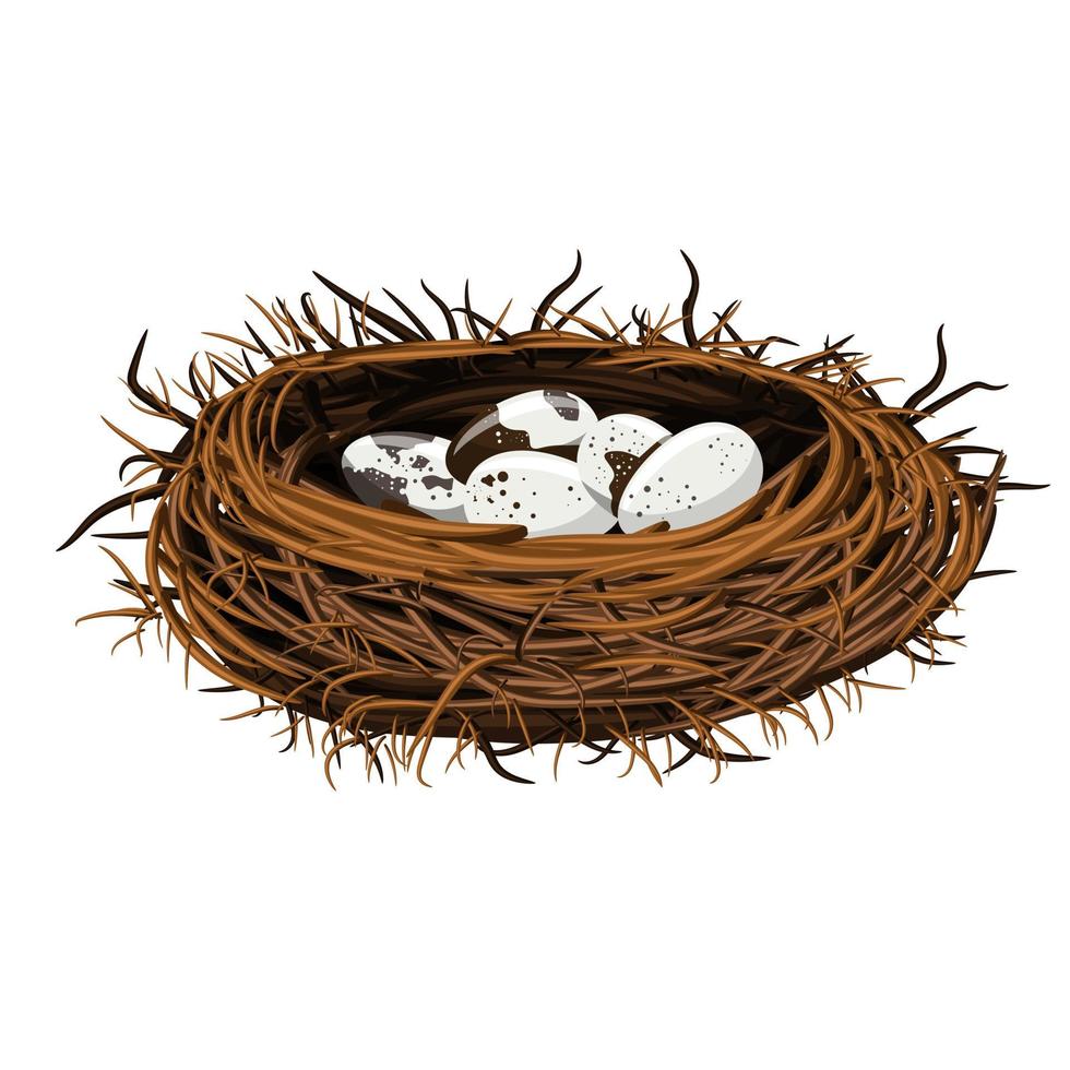 Vector image of a bird's nest with eggs. EPS 10