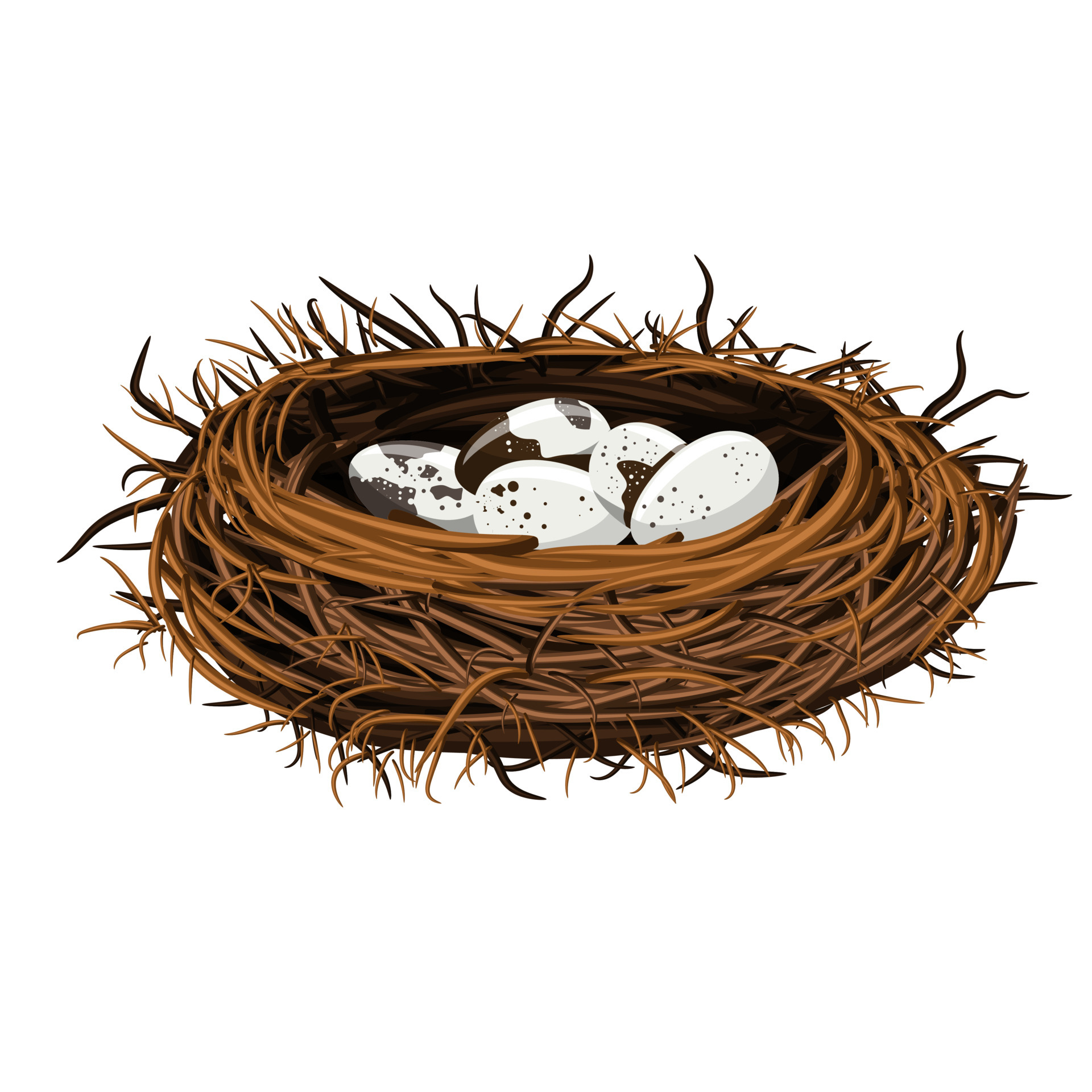 Nest Vector Art, Icons, And Graphics For Free Download