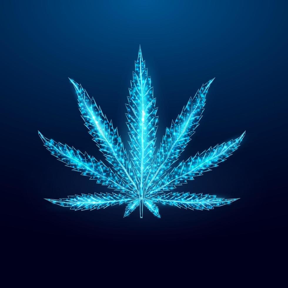 hoja de cannabis estilo de estructura alámbrica de baja poli. vector