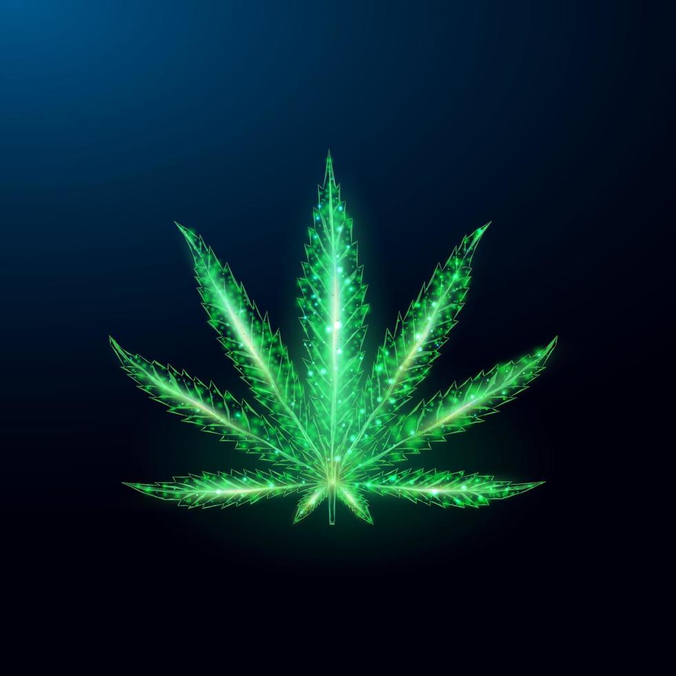 Cannabis leaf. Low poly wireframe style. vector