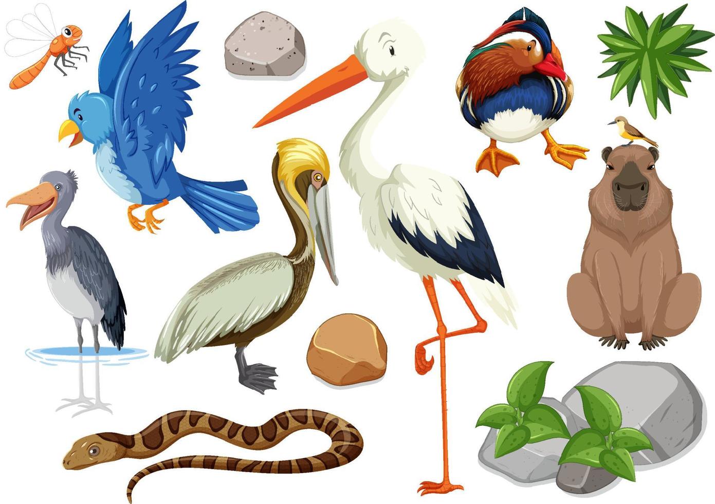 colección de diferentes tipos de animales salvajes vector