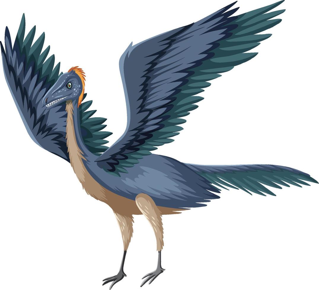 un archaeopteryx de dinosaurio sobre fondo blanco vector