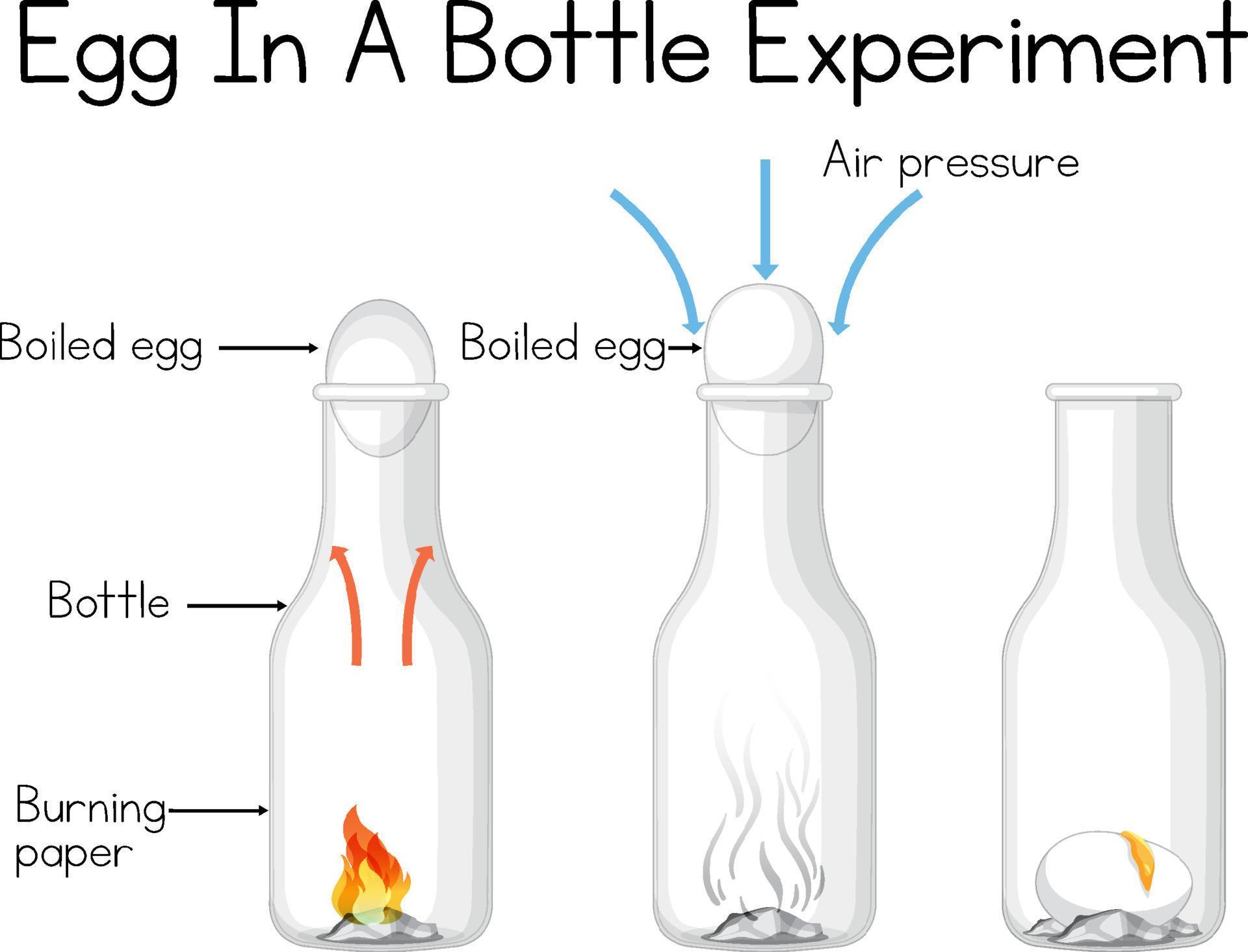 Science experiment to do at home with egg in a bottle 6763689 Vector