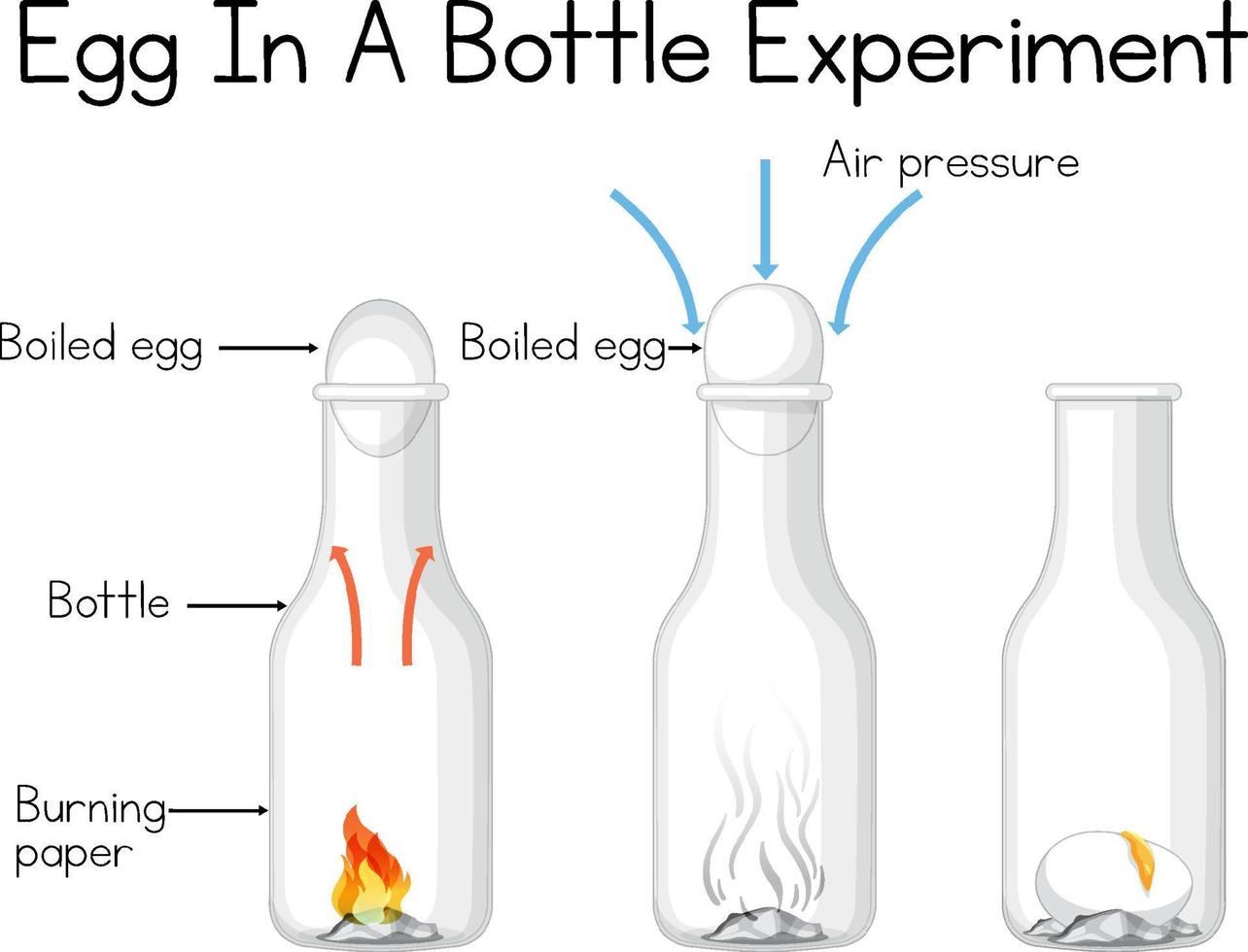 Science Experiment To Do At Home With Egg In A Bottle 6763689 Vector science-experiment-to-do-at-home-with-egg-in-a-bottle-6763689-vector