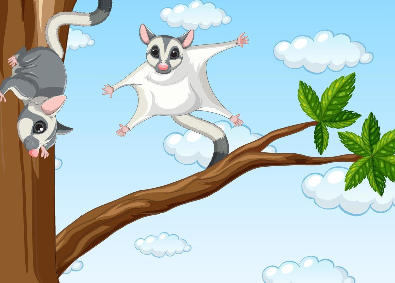 Two sugar gliders on the tree vector