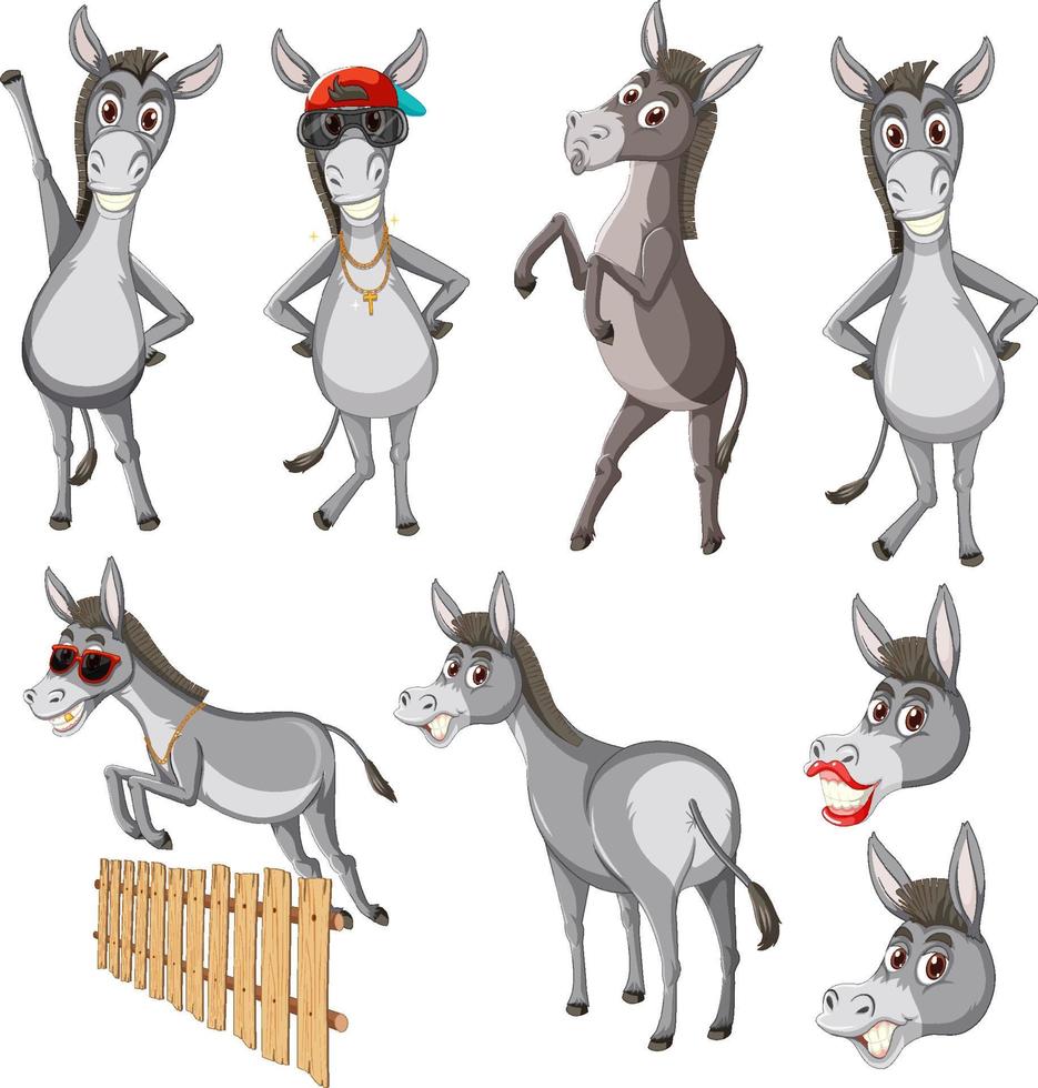 Donkey in different actions vector