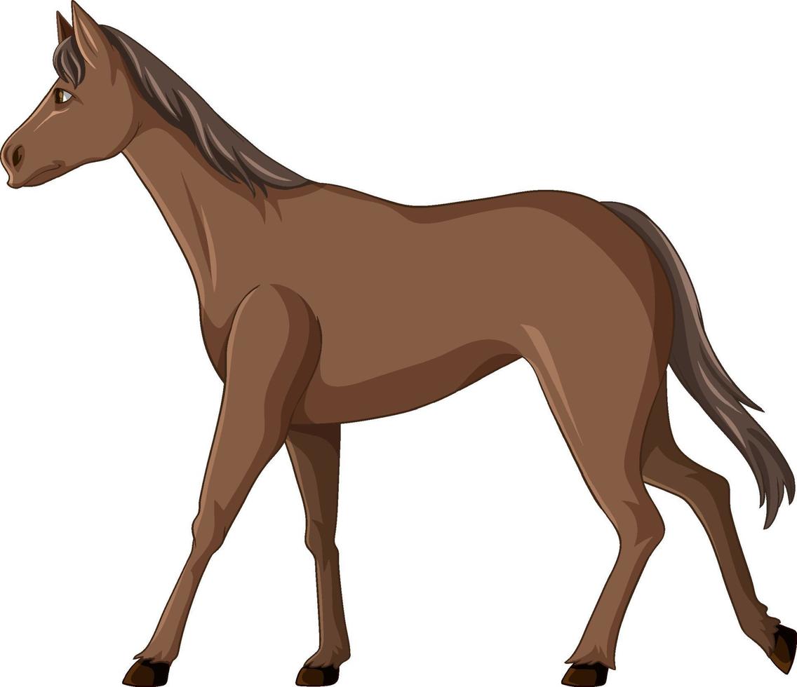 Brown horse walking cartoon vector