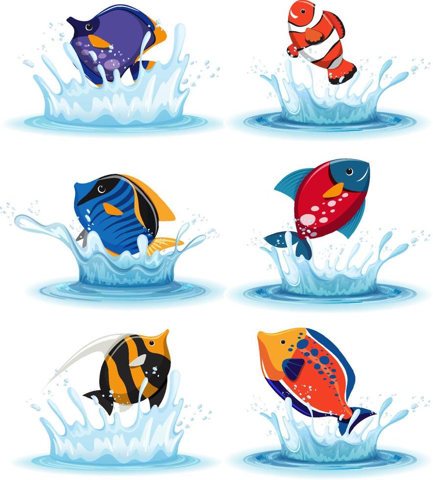 Set of different beautiful fishes vector