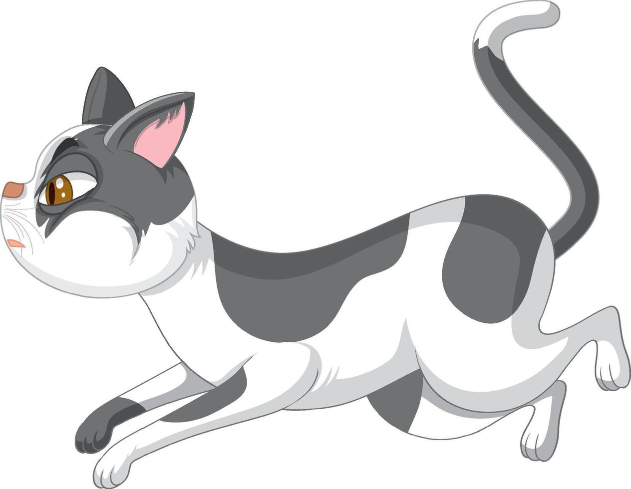 A cat running on white background vector