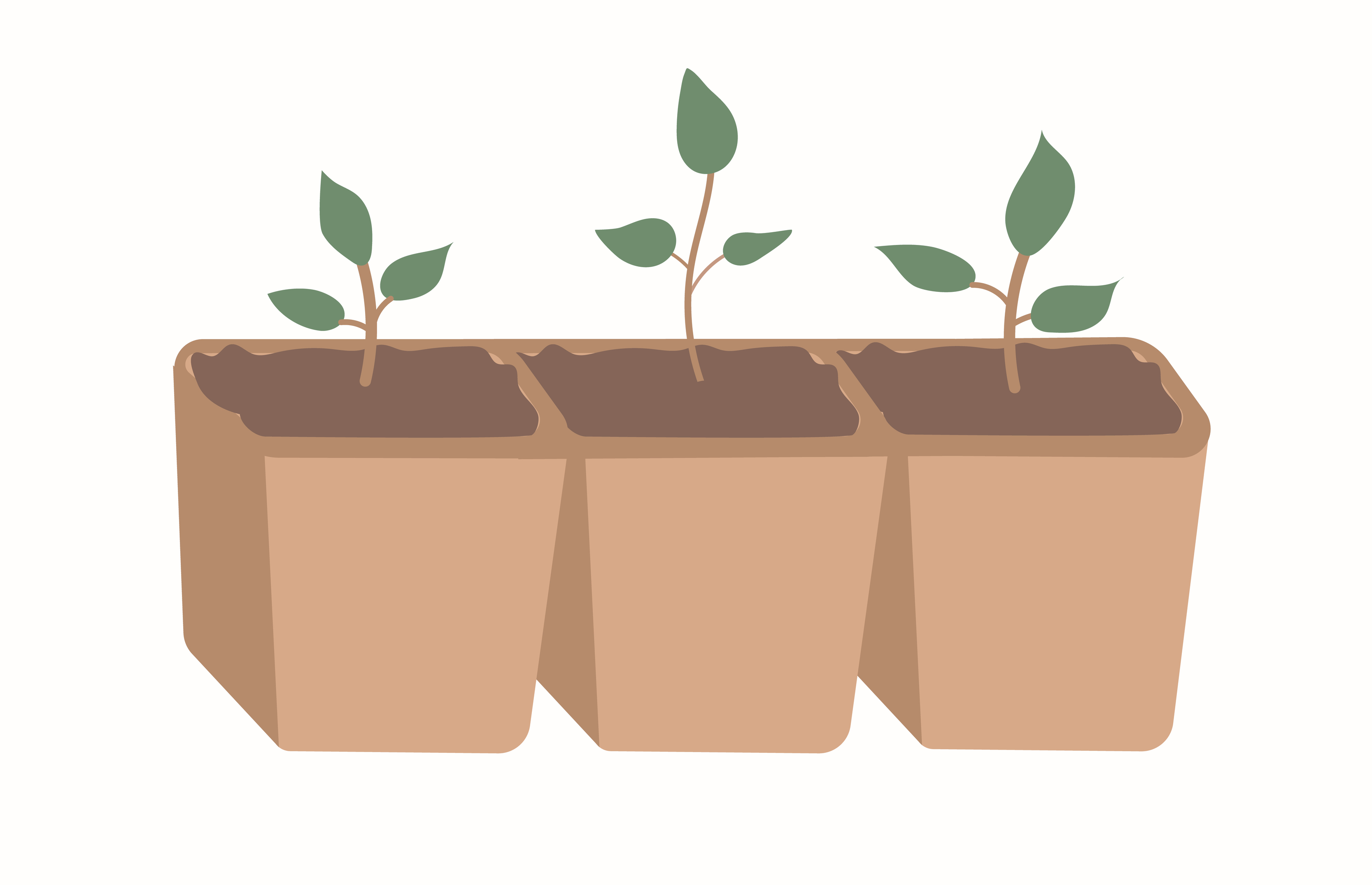 Germinate a young seedling in a brown glass. Vector seedling on an