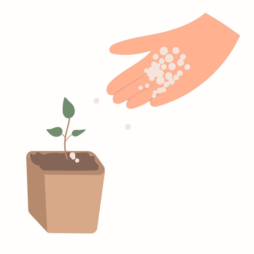 Putting fertilizer to the agriculture crop plant, color flat icon for web and mobile design vector