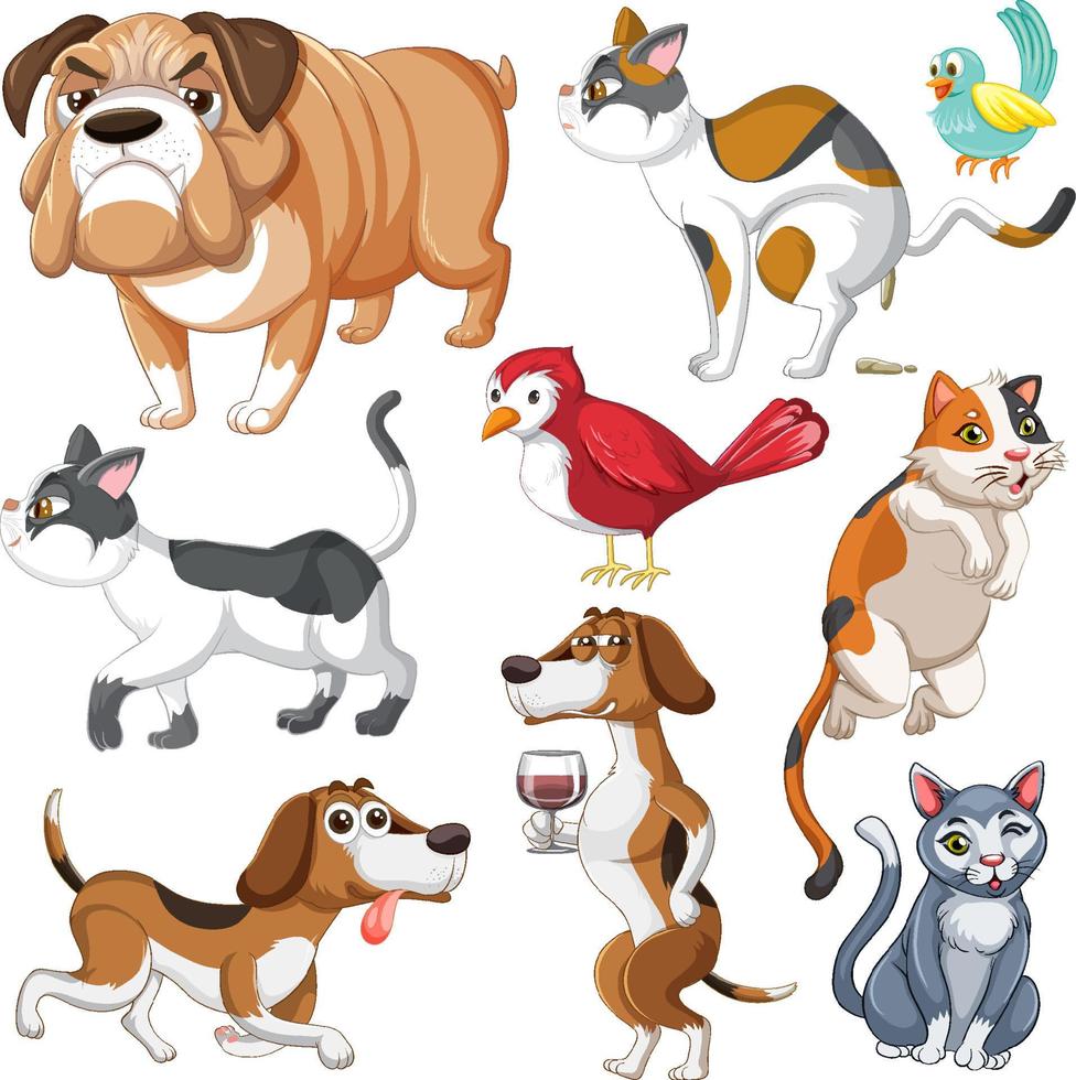 Set of different domestic animals on white background vector